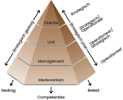 IPD Model