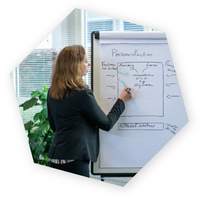 vipd - onze modules