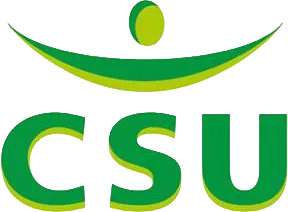 Referentie Bedrijf CSU voor organisatieadvies bij VIPD