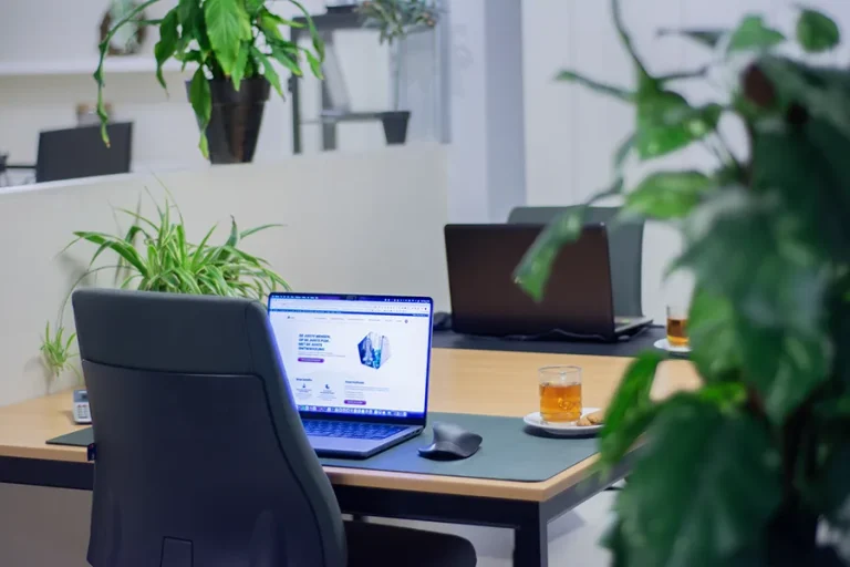 VIPD Kelder flex plekken verhuur